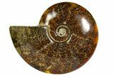 Polished, Agatized Ammonite (Cleoniceras) - Madagascar #145808-1